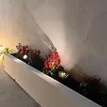 Raizes Al * Povoacao (Sao Miguel)