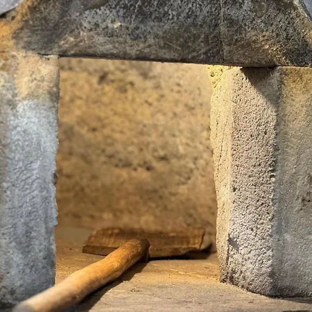 Raizes Al Povoacao (Sao Miguel)