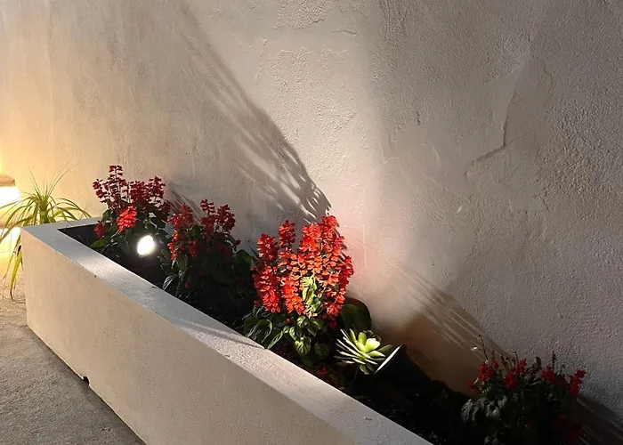 Raizes Al * Povoacao (Sao Miguel)